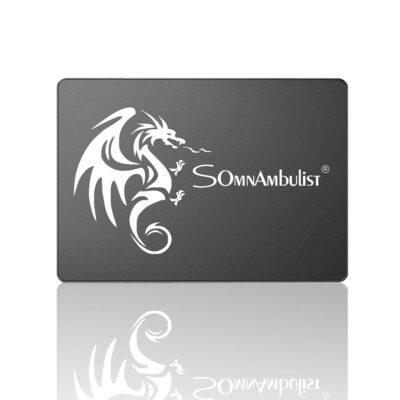 SomnAmbulist SSD 256GB SATA III – Image 4