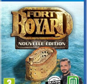 91VnAgmnpRL._AC_UF894,1000_QL80_ Fort Boyard (PS4) – Occasion