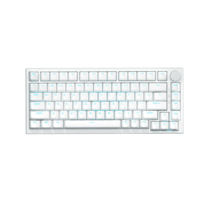 27 (20) AJAZZ AK820 PRO GAMING BLEU SWITCH MECHANICAL KEYBOARD 75%
